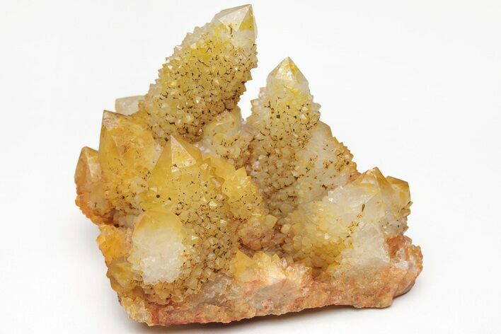 Sunshine Cactus Quartz Crystal Cluster - South Africa #212679